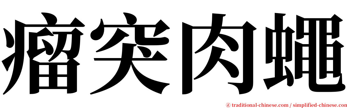 瘤突肉蠅 serif font