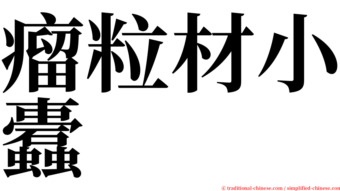 瘤粒材小蠹 serif font