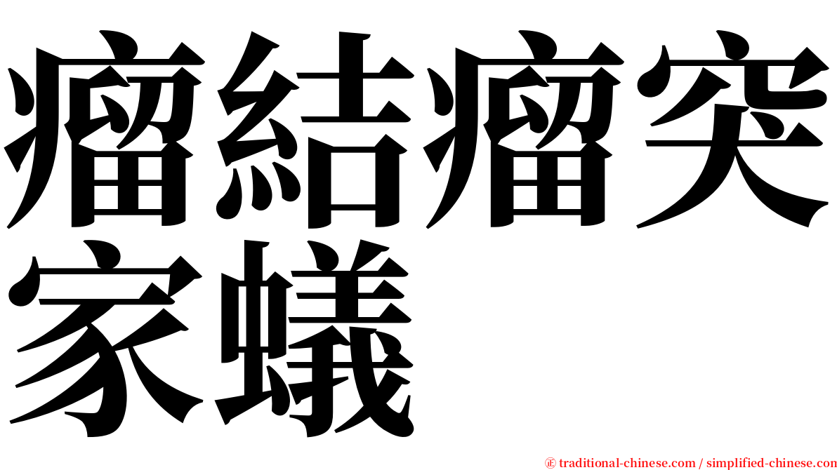 瘤結瘤突家蟻 serif font