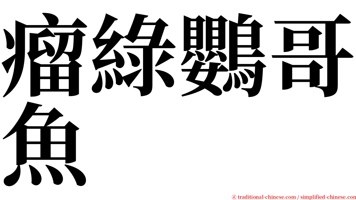 瘤綠鸚哥魚 serif font