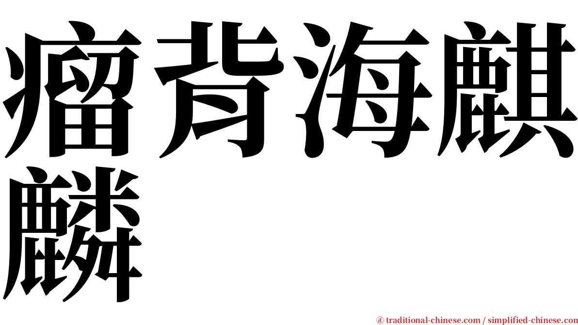 瘤背海麒麟 serif font