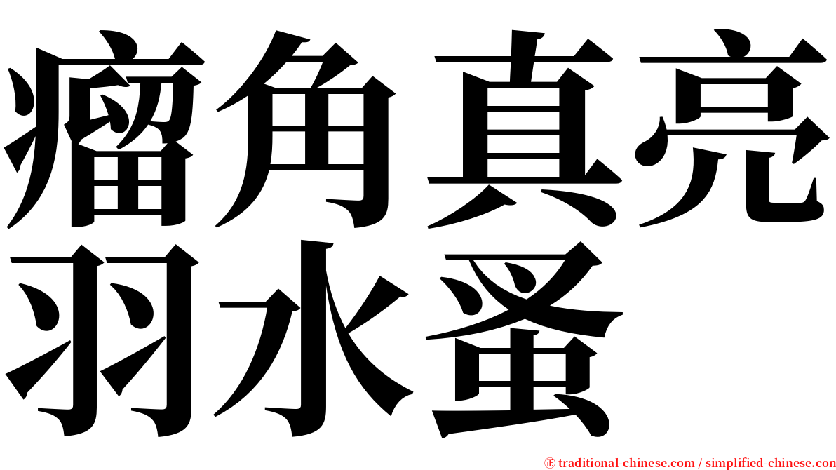 瘤角真亮羽水蚤 serif font