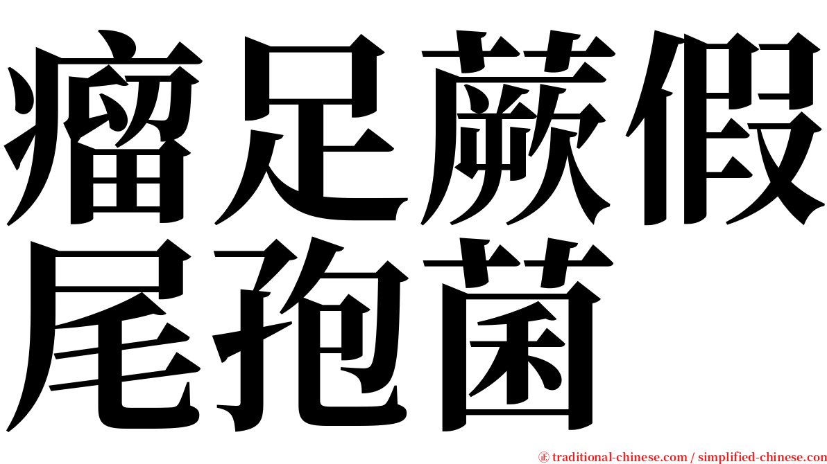 瘤足蕨假尾孢菌 serif font