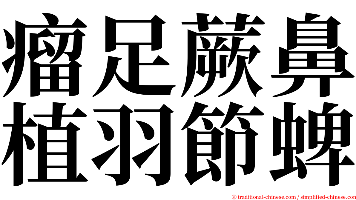 瘤足蕨鼻植羽節蜱 serif font