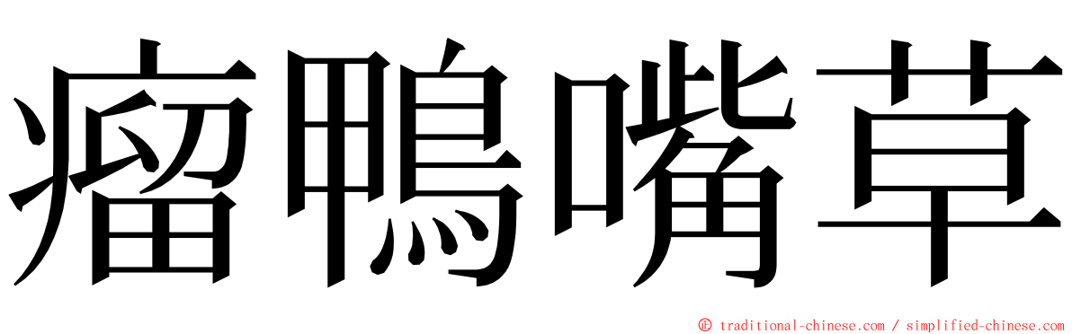 瘤鴨嘴草 ming font