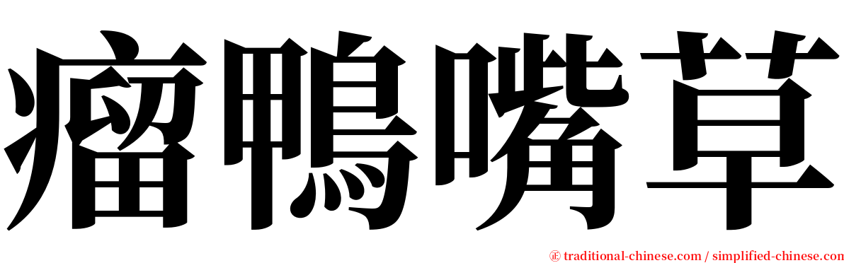 瘤鴨嘴草 serif font