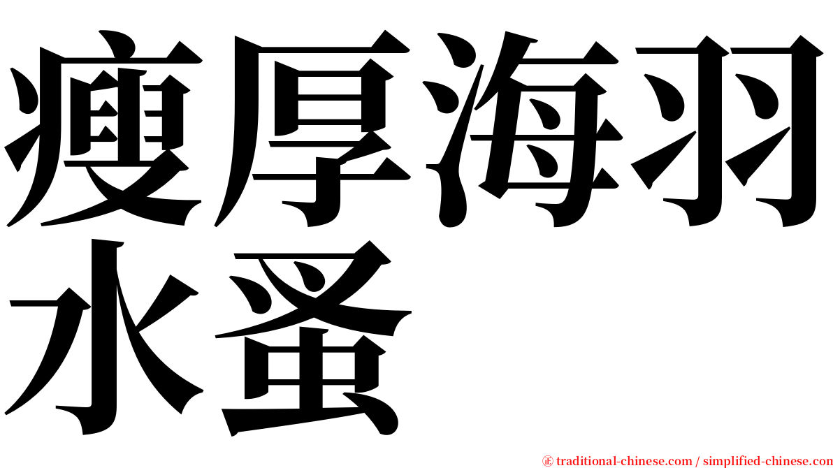 瘦厚海羽水蚤 serif font