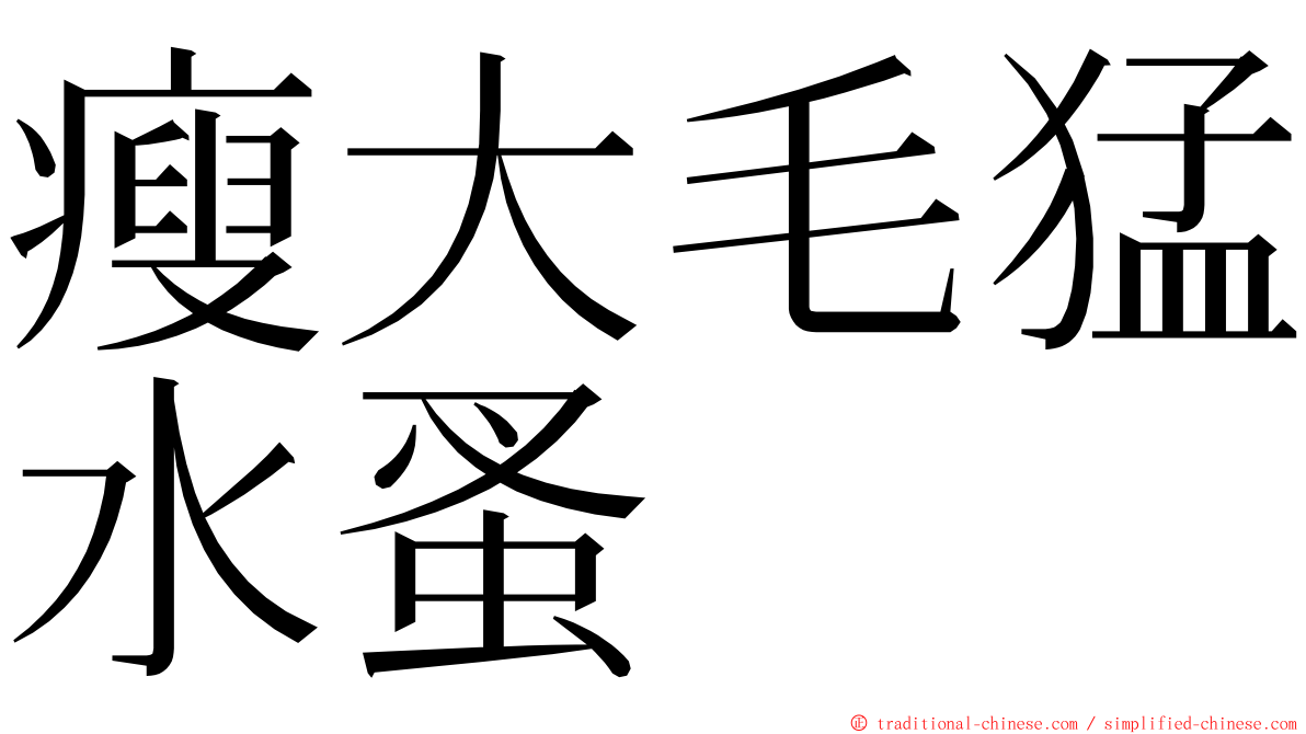 瘦大毛猛水蚤 ming font