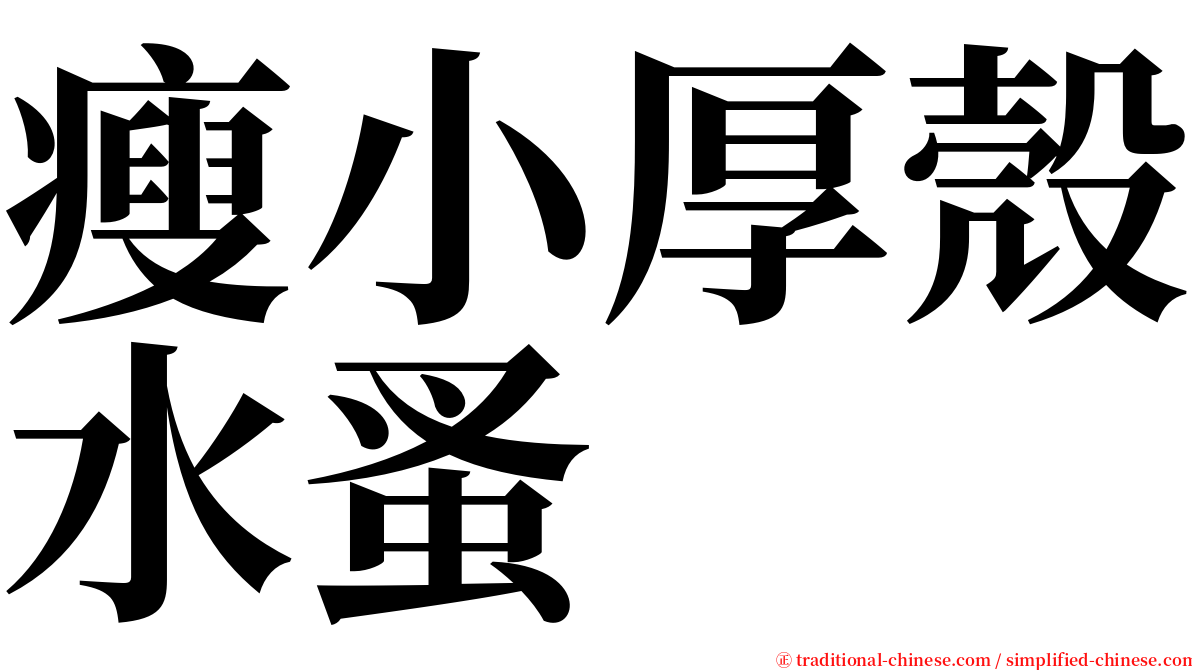 瘦小厚殼水蚤 serif font