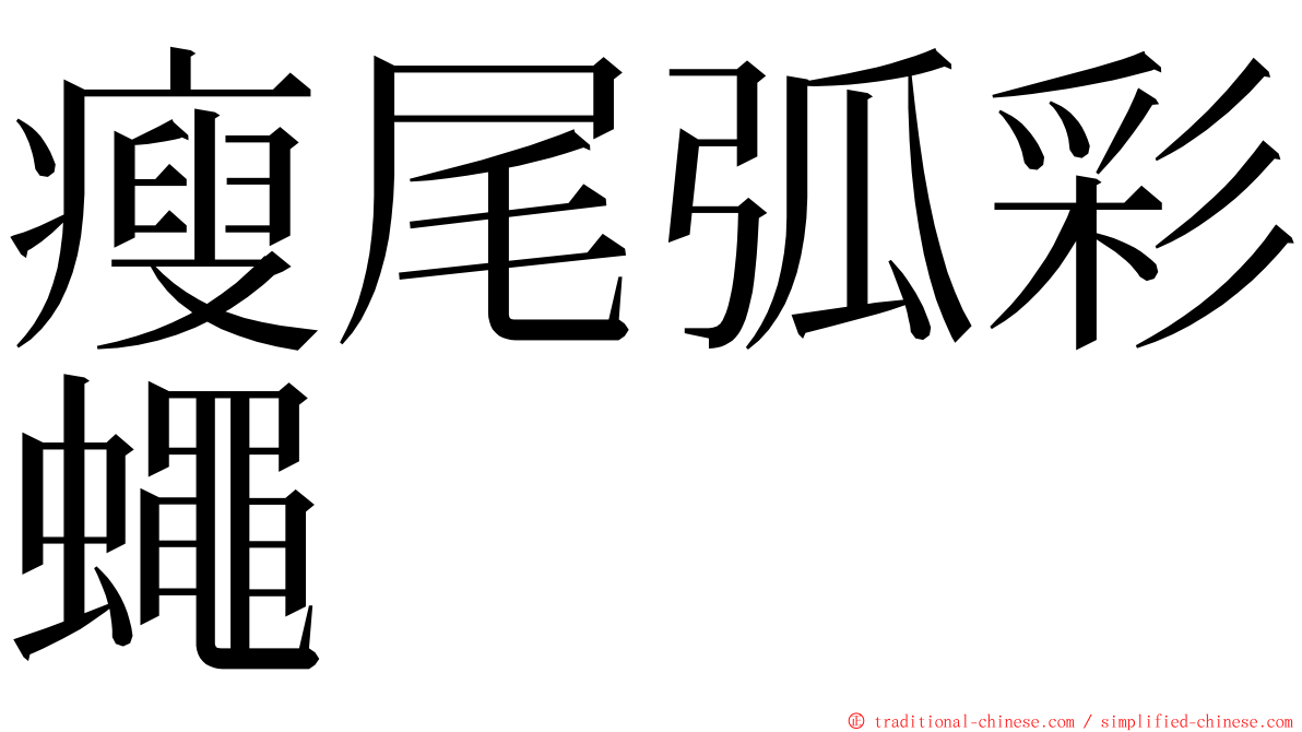 瘦尾弧彩蠅 ming font