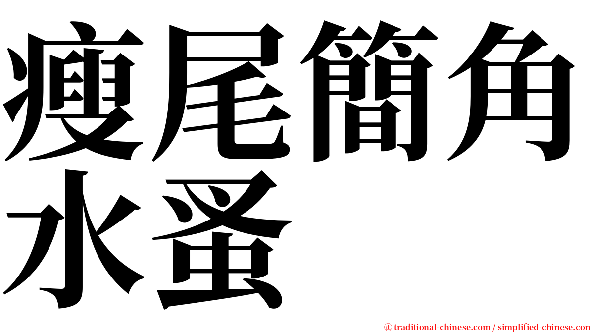 瘦尾簡角水蚤 serif font