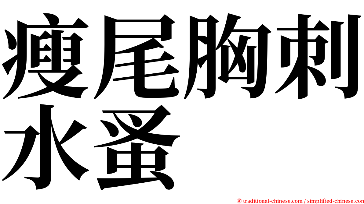 瘦尾胸刺水蚤 serif font