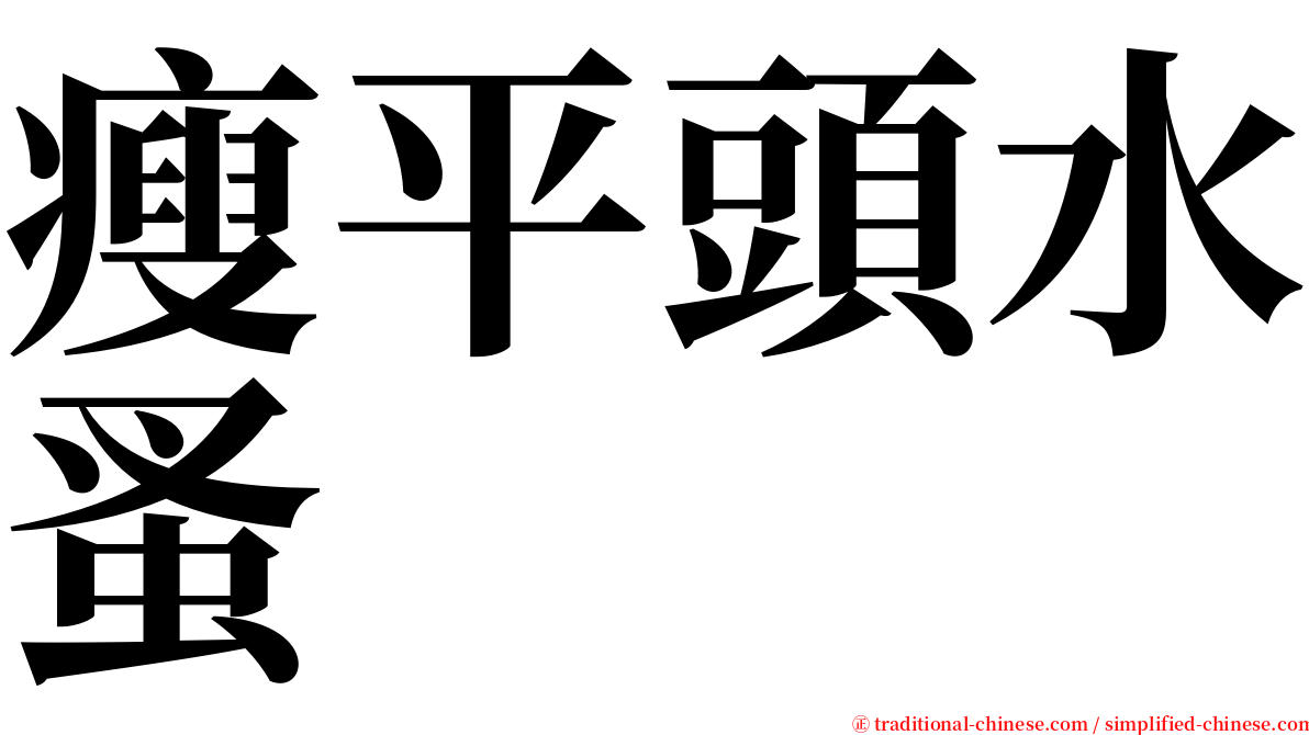 瘦平頭水蚤 serif font