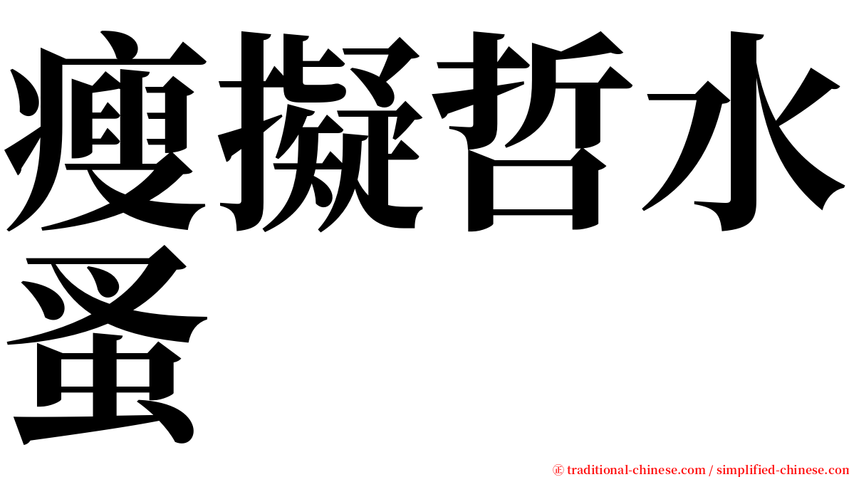 瘦擬哲水蚤 serif font