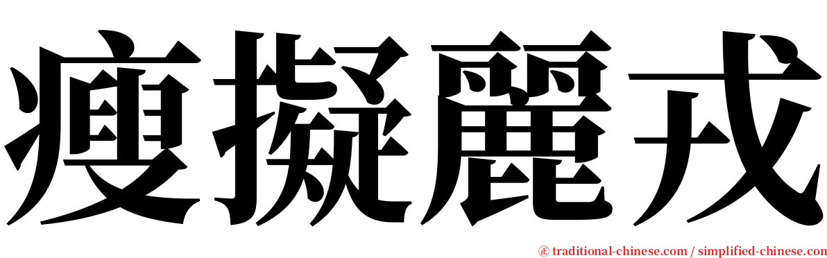 瘦擬麗戎 serif font