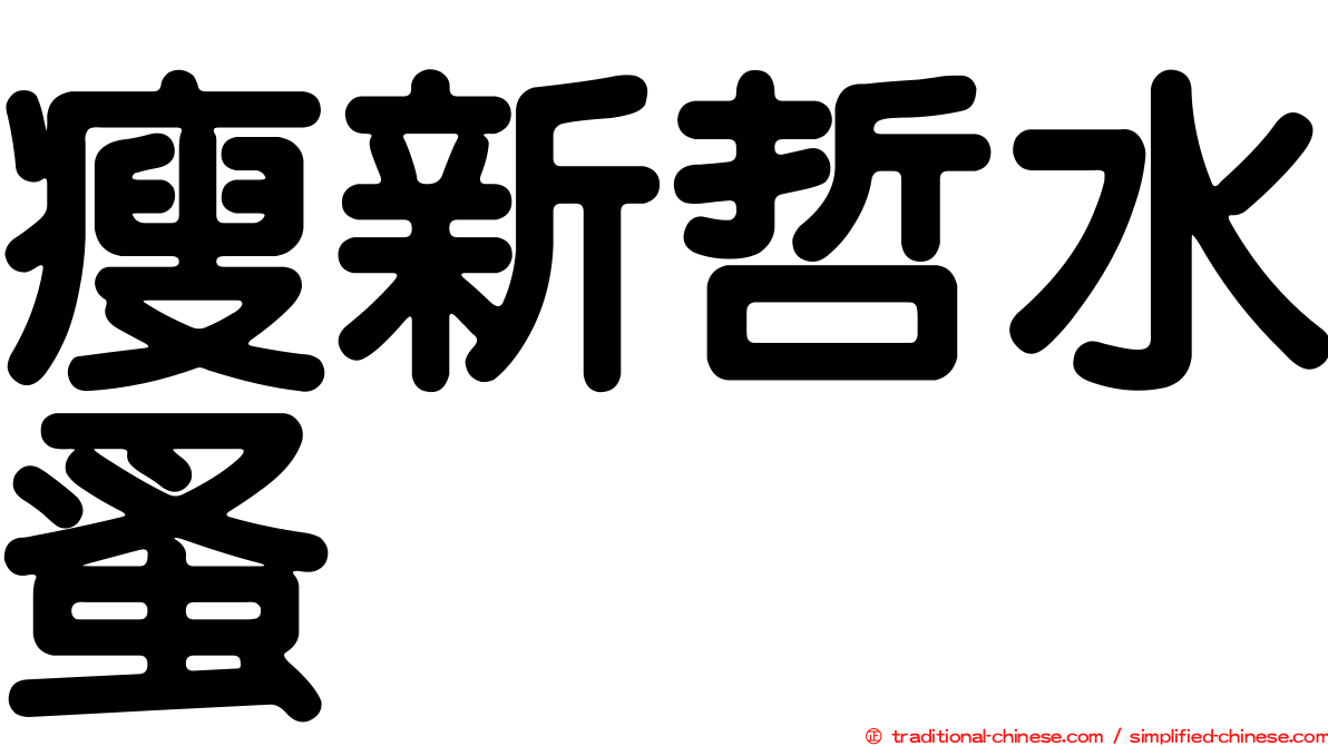 瘦新哲水蚤