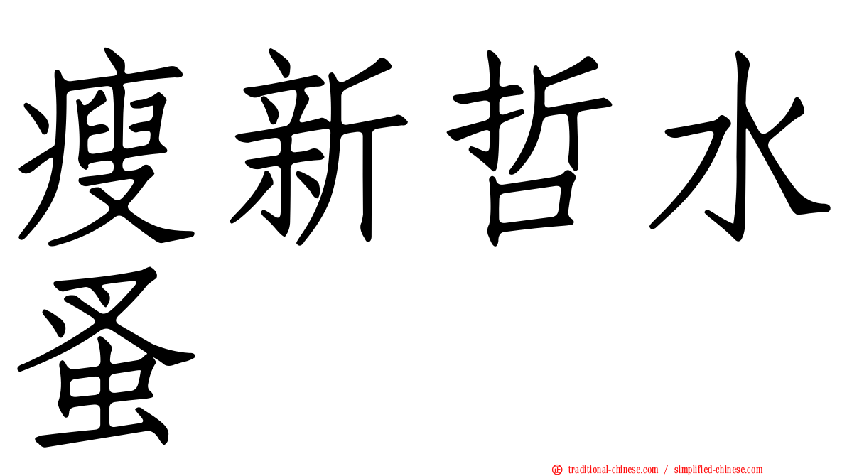 瘦新哲水蚤