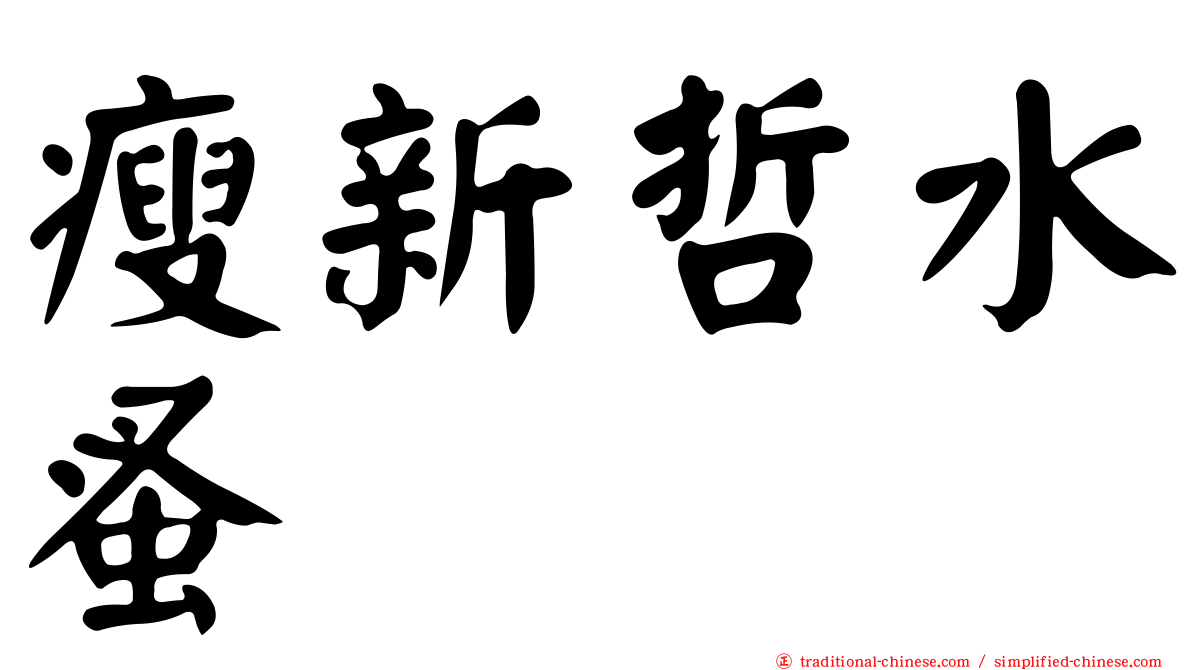 瘦新哲水蚤
