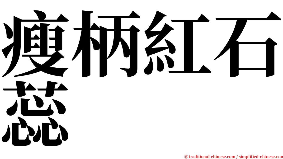 瘦柄紅石蕊 serif font