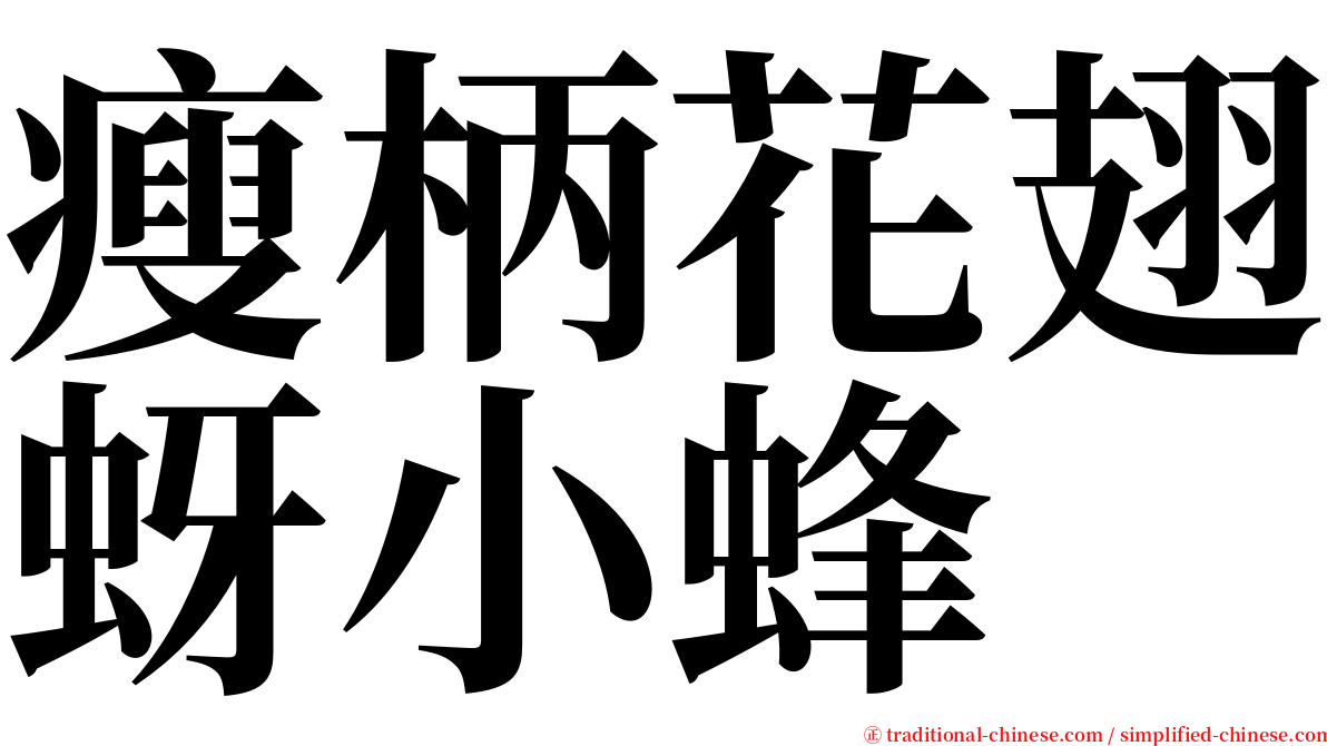 瘦柄花翅蚜小蜂 serif font