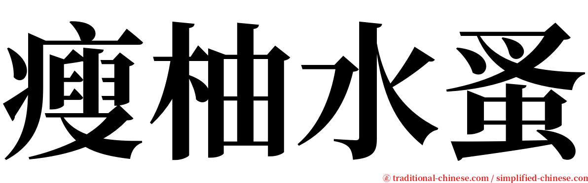 瘦柚水蚤 serif font