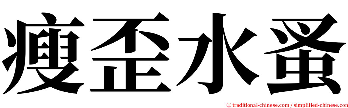 瘦歪水蚤 serif font