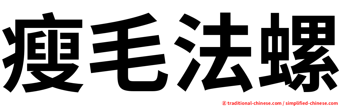 瘦毛法螺