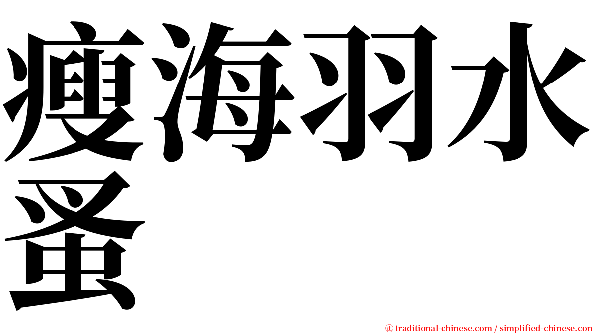 瘦海羽水蚤 serif font