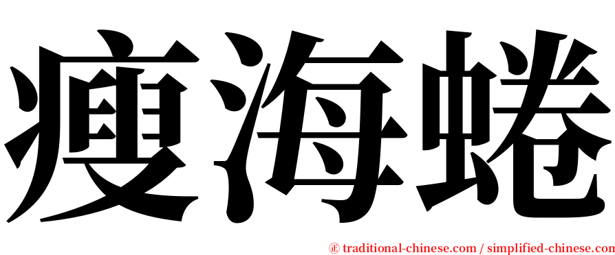 瘦海蜷 serif font