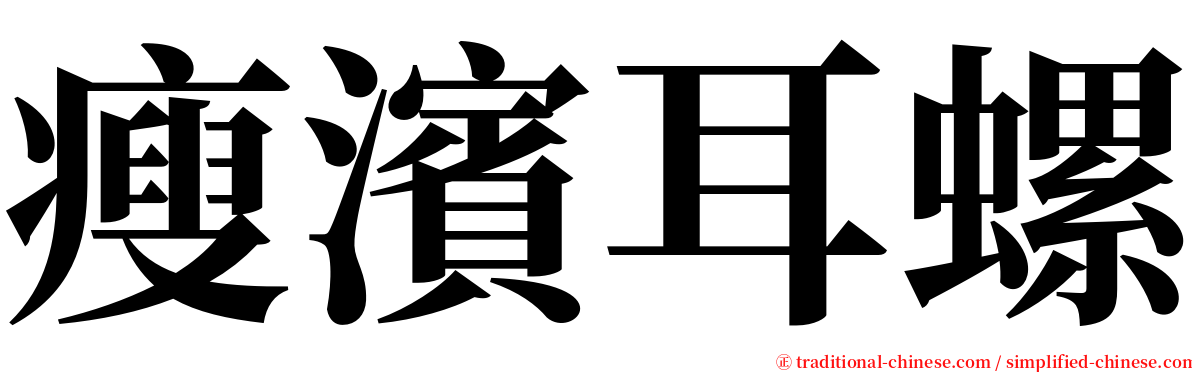 瘦濱耳螺 serif font