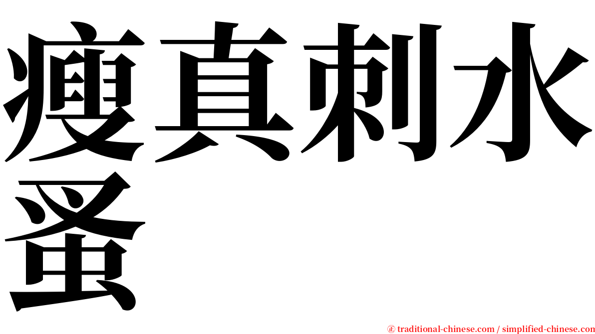 瘦真刺水蚤 serif font