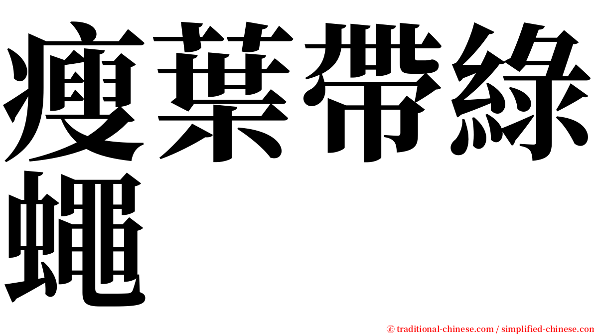 瘦葉帶綠蠅 serif font