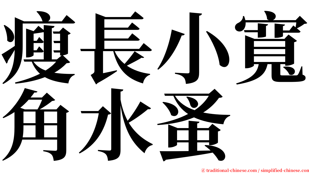 瘦長小寬角水蚤 serif font