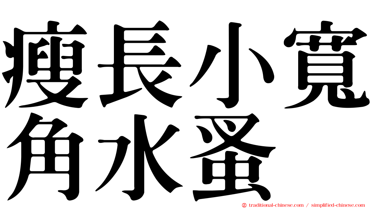瘦長小寬角水蚤