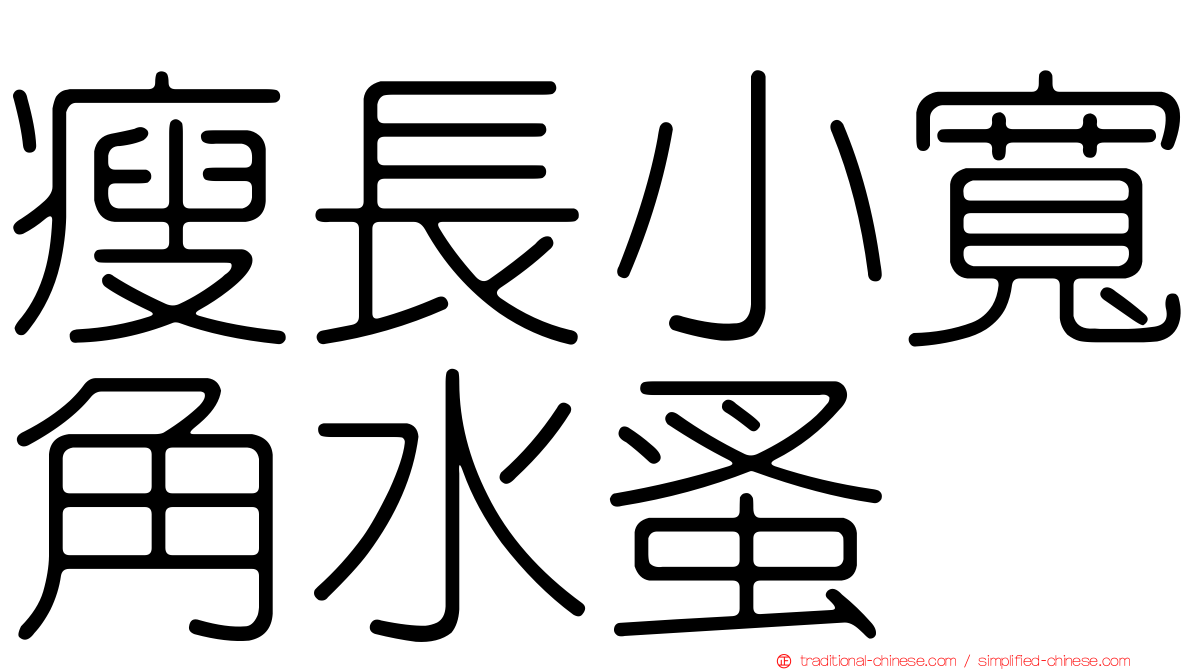 瘦長小寬角水蚤