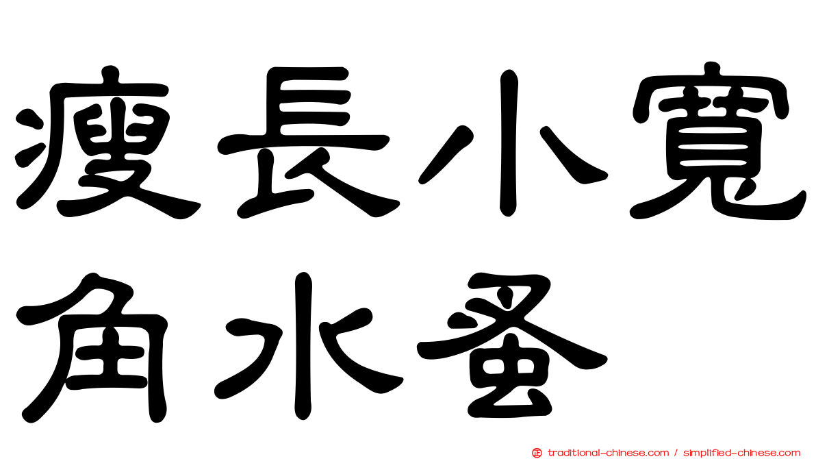瘦長小寬角水蚤