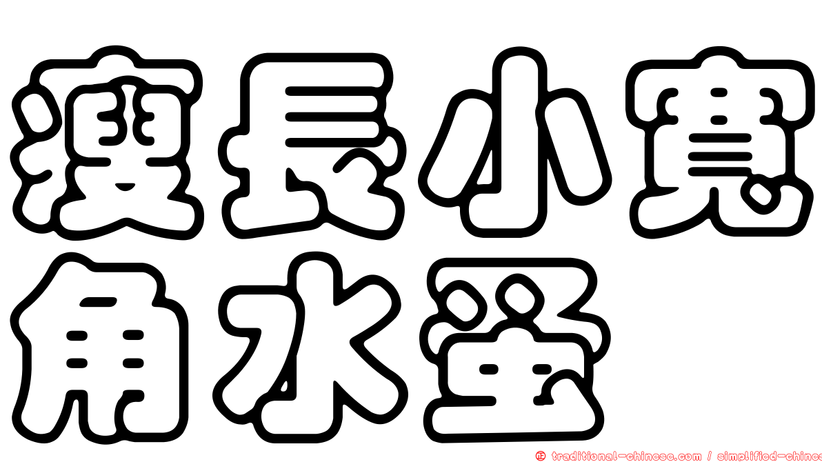瘦長小寬角水蚤