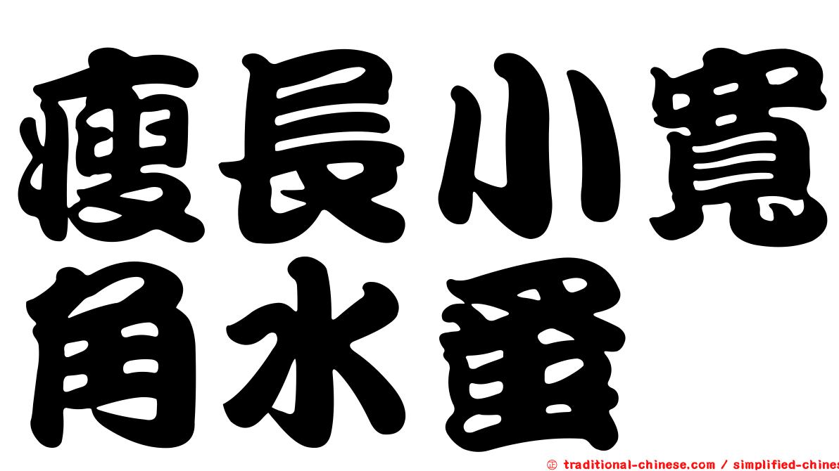 瘦長小寬角水蚤