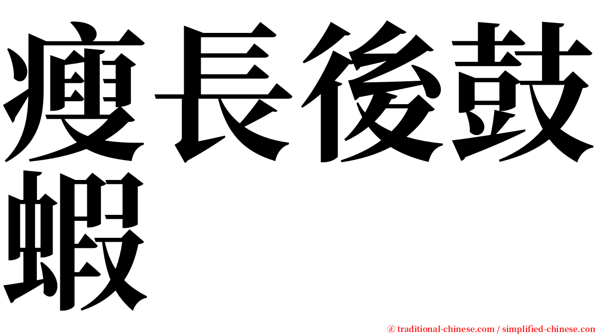瘦長後鼓蝦 serif font