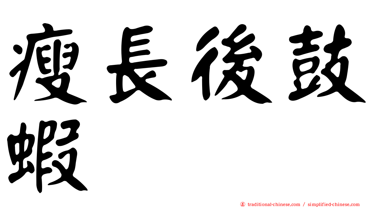 瘦長後鼓蝦