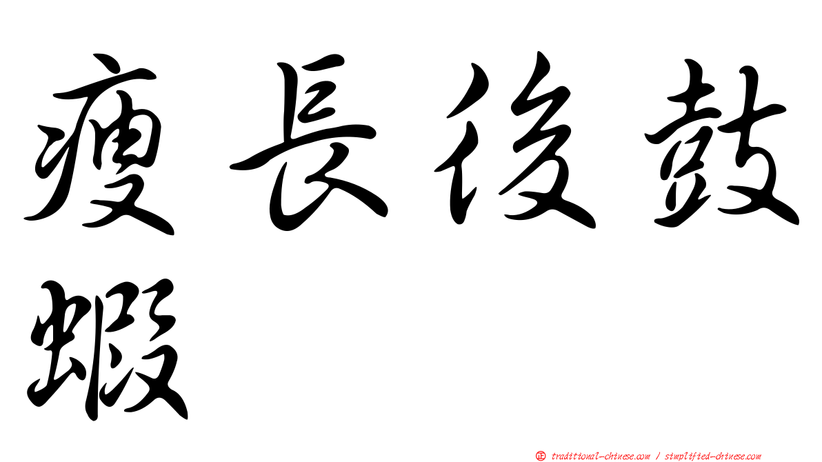 瘦長後鼓蝦