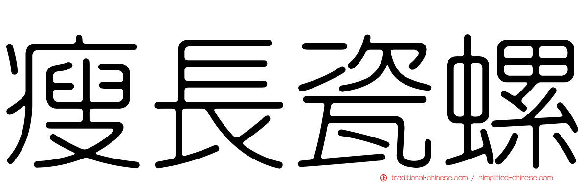 瘦長瓷螺