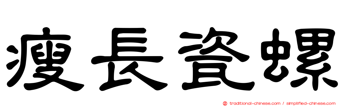瘦長瓷螺
