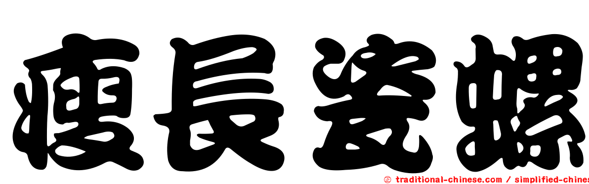瘦長瓷螺