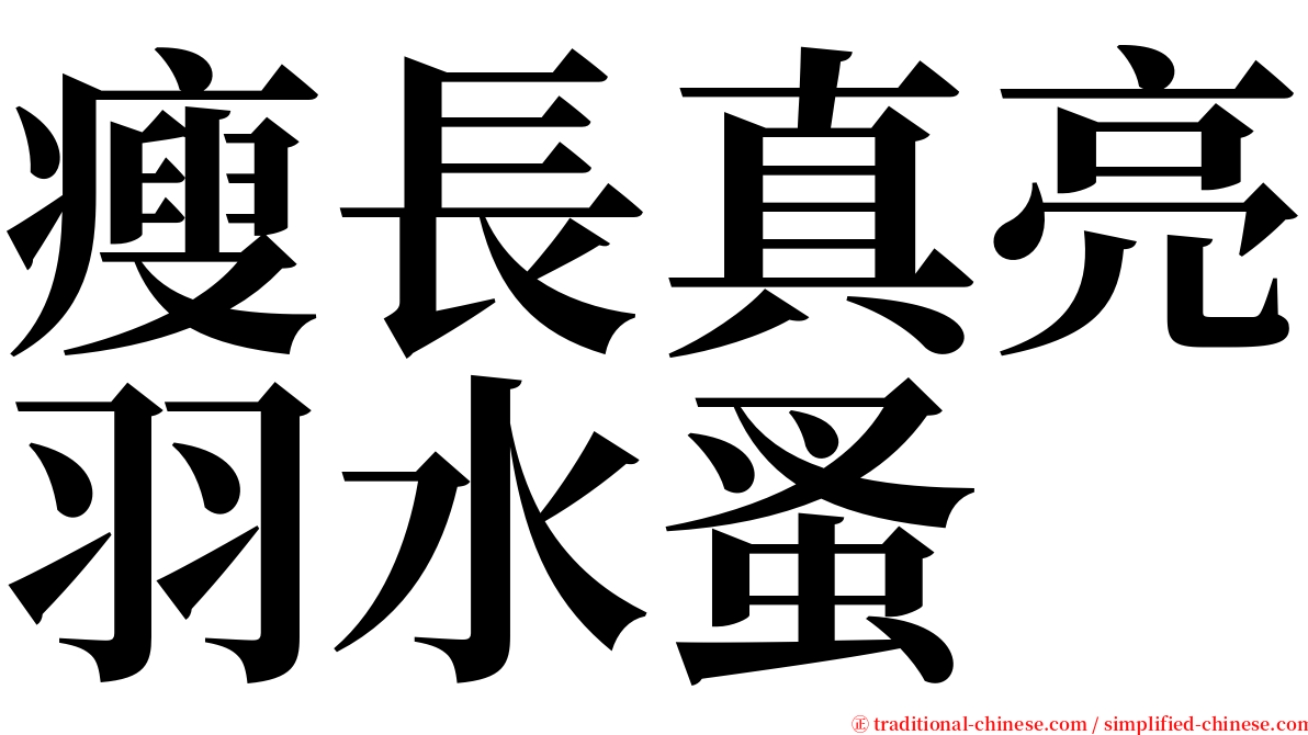 瘦長真亮羽水蚤 serif font