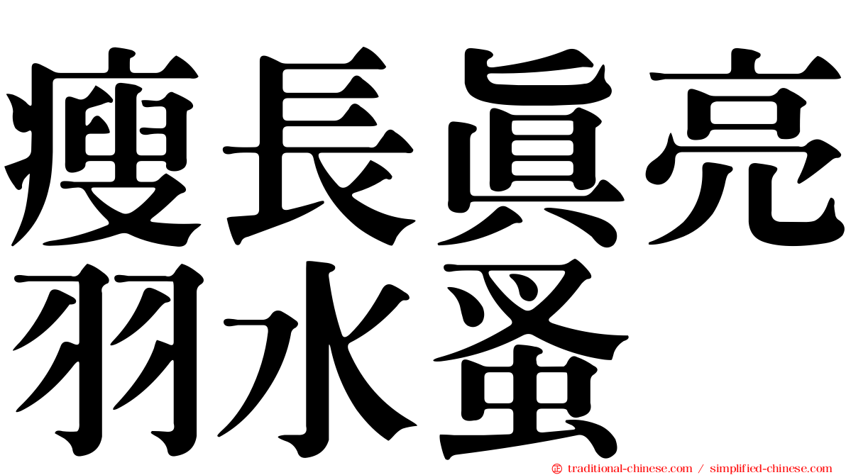 瘦長真亮羽水蚤