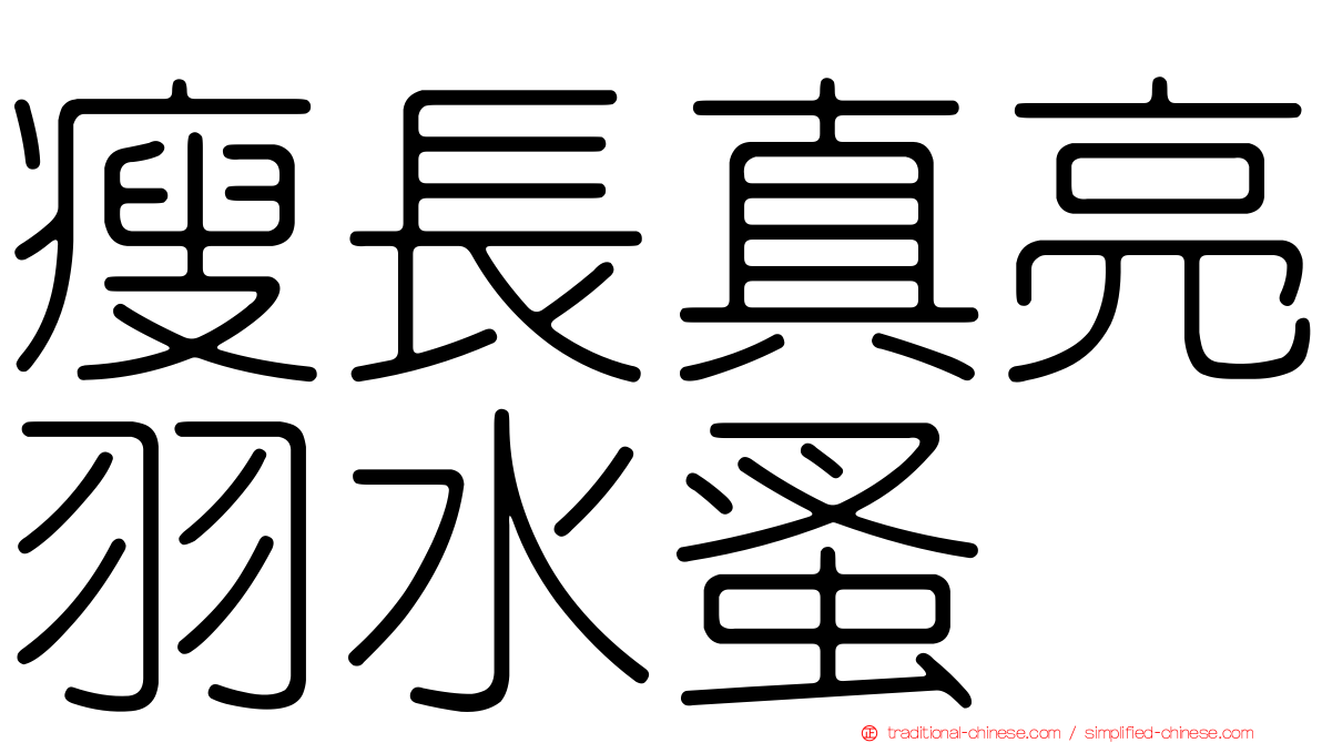 瘦長真亮羽水蚤