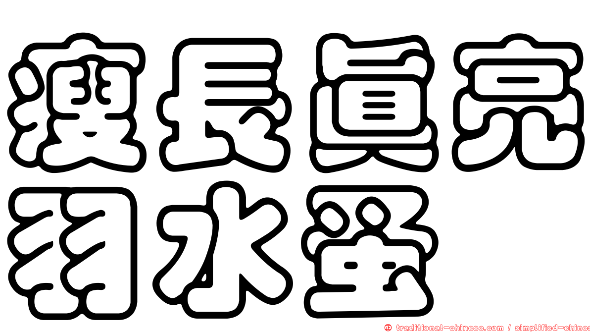 瘦長真亮羽水蚤