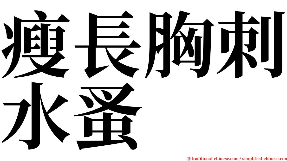 瘦長胸刺水蚤 serif font