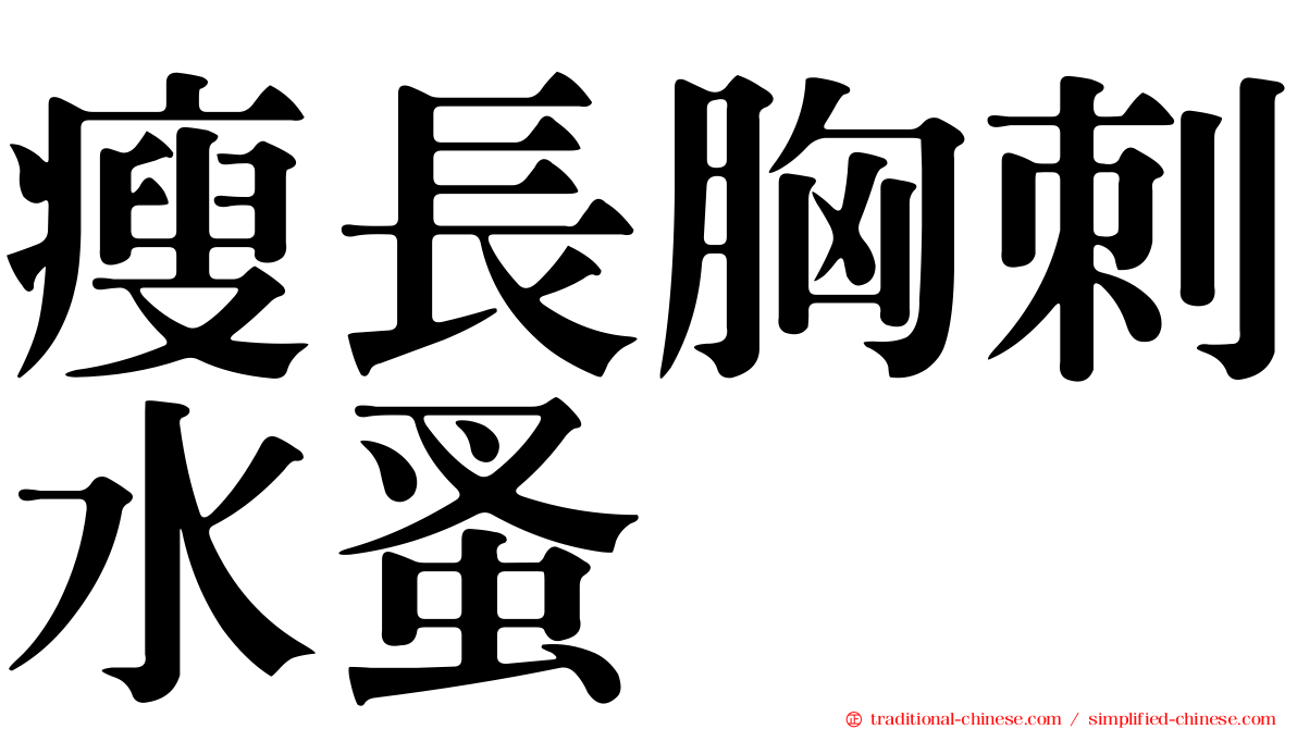 瘦長胸刺水蚤